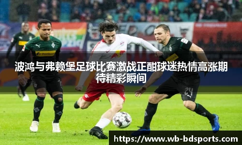 波鸿与弗赖堡足球比赛激战正酣球迷热情高涨期待精彩瞬间