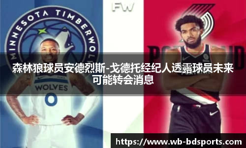 森林狼球员安德烈斯-戈德托经纪人透露球员未来可能转会消息
