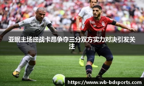 半岛体育官网