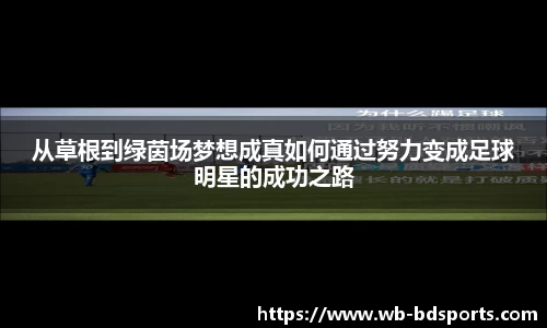 半岛体育APP