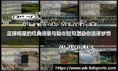 半岛体育APP